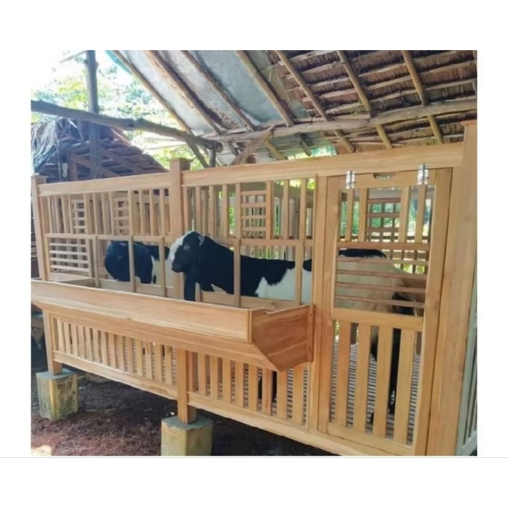Kandang Kambing & Domba: Tempat Berkumpul Keluarga di Cilacap